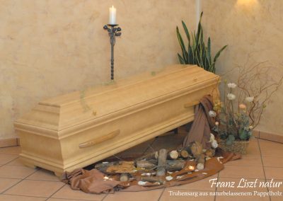 In einer ruhigen Innenumgebung ist ein Holzsarg mit Baumst&auml;mmen und Steinen geschm&uuml;ckt, begleitet von einer Kerze auf einem St&auml;nder, farbenfrohen Pflanzen und einem eleganten Tuch &ndash; ein friedliches Arrangement, das einer respektvollen Bestattung w&uuml;rdig ist.