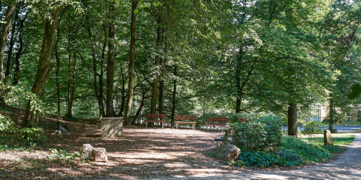 Eine schattige Parklandschaft mit B&auml;nken, umgeben von &uuml;ppigen gr&uuml;nen B&auml;umen und einem sonnenbeschienenen Weg, bietet eine ruhige Umgebung, die der Bestattung der Natur &auml;hnelt, wo die Zyklen des Lebens in heiterer Einsamkeit angenommen werden.