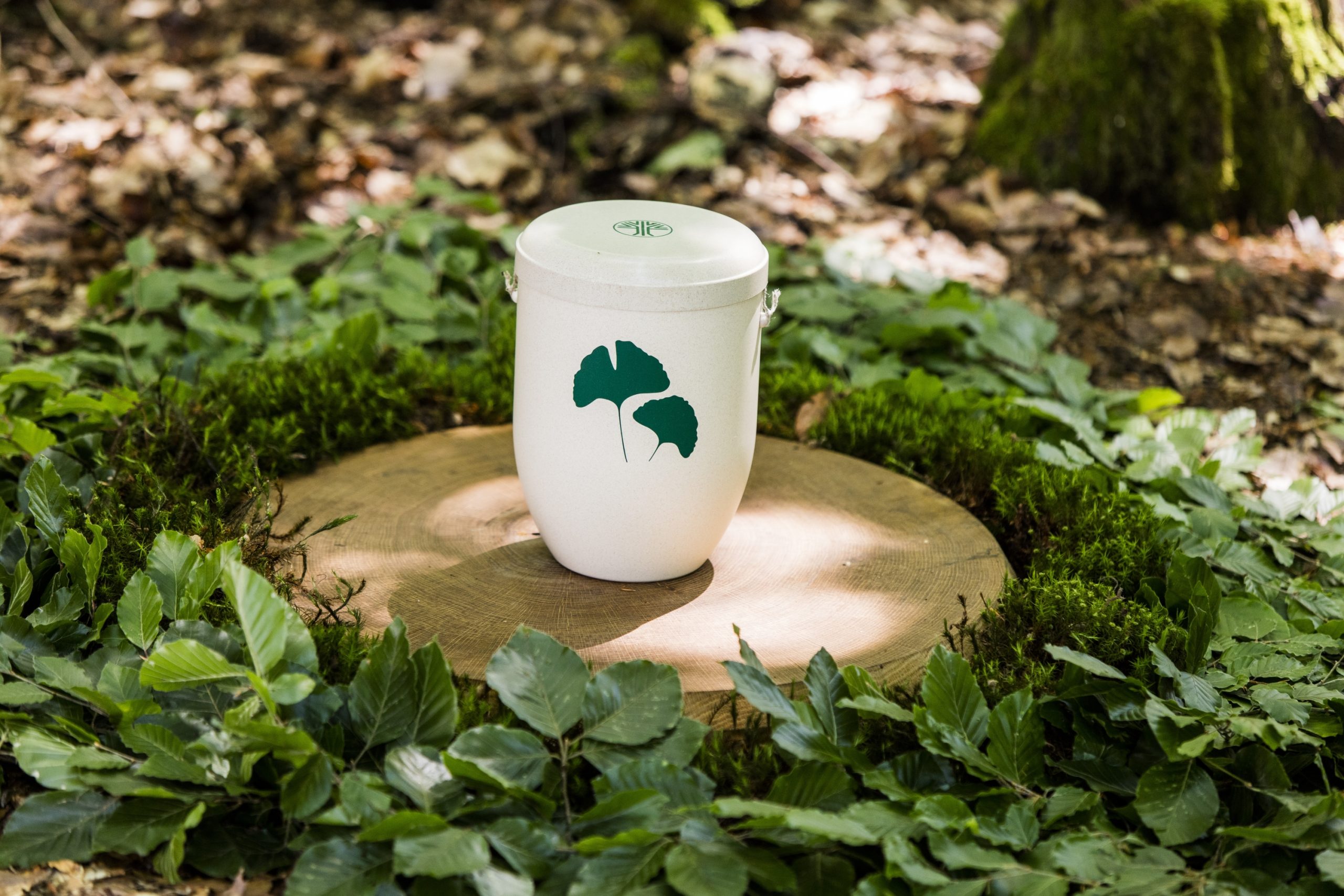 Eine biologisch abbaubare Urne mit Blattdesign steht anmutig auf einer Holzplattform, umgeben von Bl&auml;ttern und Moos in einem ruhigen Wald und bietet eine umweltfreundliche Bestattungsm&ouml;glichkeit.